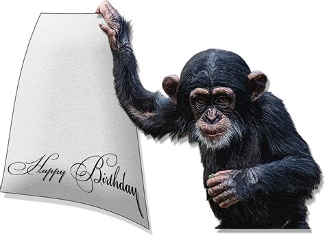 Download Chimpanzee Happy Birthday Chimp Royalty Free Stock