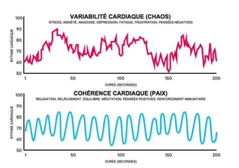 La Respiration Wim Hof Et La Coh Rence Cardiaque Blog