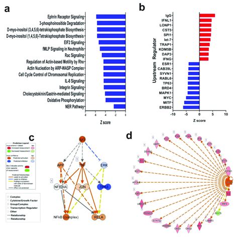 Ingenuity Pathway Analysis Ipa Of Differentially Expressed Gene In