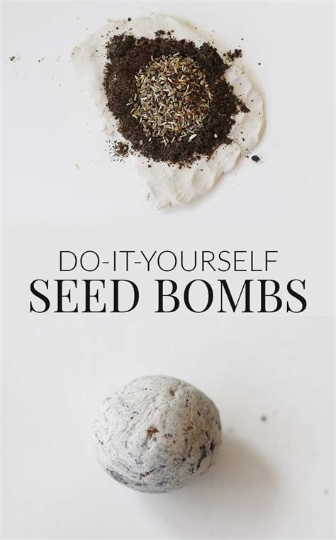 DIY Seed Bombs Recipe: An Easy Garden Hack - Bird's Eye Meeple