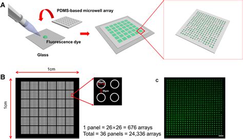 Schematic Illustrating The Sample Loading Into The Microwell Array And