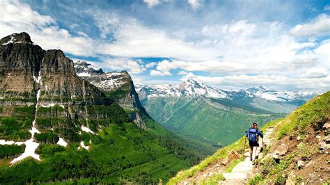 Trails of Yellowstone National Park - Yellow Choices