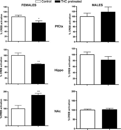 Effect Of 9 Tetrahydrocannabinol Thc Pretreatment On Creb Activation