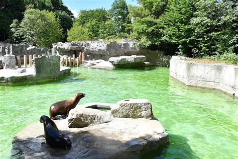Tierparkhistorie Tierpark Hellabrunn