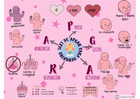 Test De Apgar Para Neonatos Md Ara Udocz