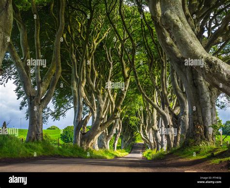 Ballymoney northern ireland hi-res stock photography and images - Alamy