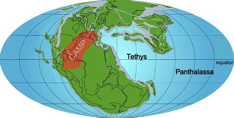 How The World Of The End Triassic Extinction Was Similar To Today—and