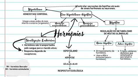 Mapas Mentais sobre HORMÔNIOS Study Maps