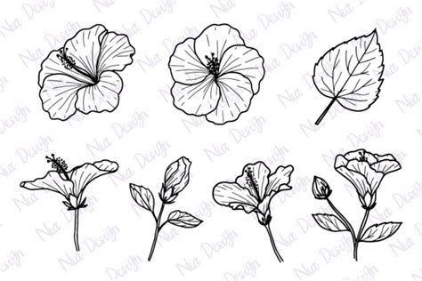 Marigold Flower Line Art Set Svg Graphic By Nurdesign99 · Creative Fabrica