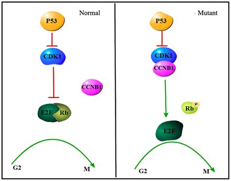 Comprehensive Analysis Of Differential Expression Profiles Reveals