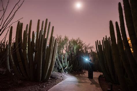 Map Of Desert Botanical Garden Phoenix Az