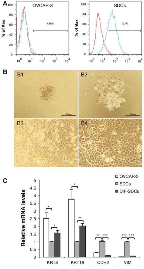 A FACS Analysis Of CD44 Expression In OVCAR 3 And Spheroid Derived