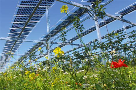 Doppelte Ernte Äpfel und Strom vom Acker