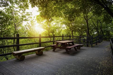 Sunset Park Stock Photo Image Of Beautiful Board Long 98303940