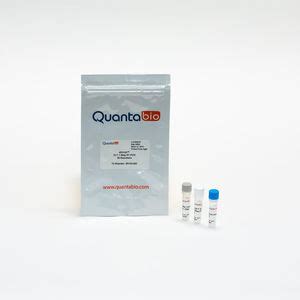 Reverse Transcriptase Reagent Kit QScript 1 Step ToughMix QuantaBio