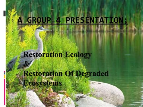 Restoration Ecology And Restoration Of Degraded Ecosystem Ppt