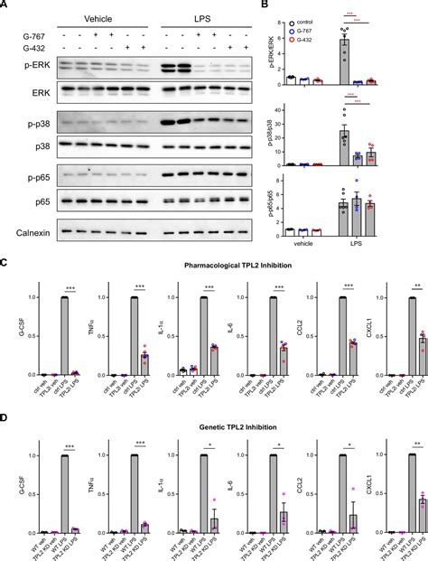 Tpl2 Kinase Activity Regulates Microglial Inflammatory Responses And