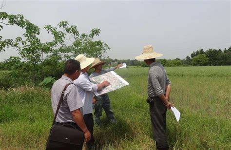 中央擬定：土地資源升級管理，宅基地、耕地或將被徵收，咋回事？ 壹讀