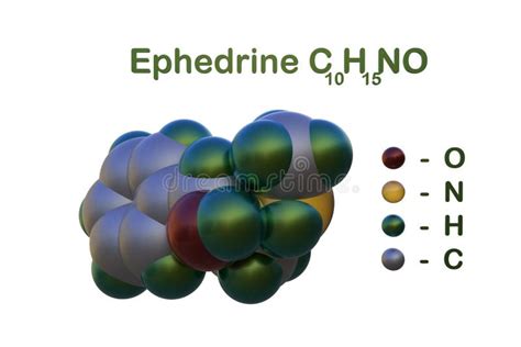 Strukturelle Chemische Formel Und Molekulares Modell Des Ephedrins