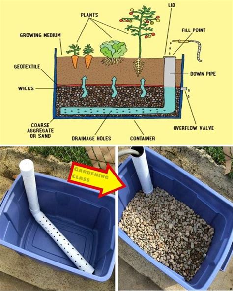 Pin By Jamie Davis On Gardening In 2024 Vegetable Garden Design Vegetable Garden Planning