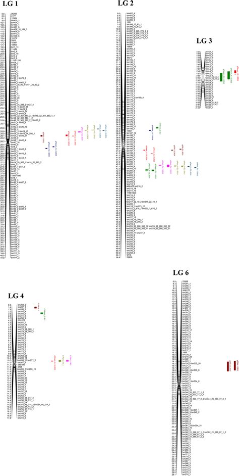 Genetic Linkage Map And Location Of QTL For Seven Petunia Traits In A