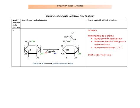 Solution Clasificaci N De Enzimas En Gluc Lisis Studypool