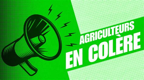 Colère des agriculteurs pourquoi un accord UE Mercosur serait une