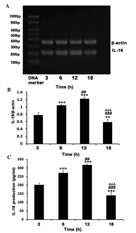 High And Fluctuating Glucose Levels Increase The Expression And