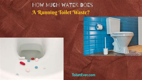 How Much Water Does A Running Toilet Waste? - Toiletever