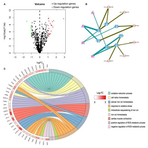 Bioinformatics Analysis Of Differentially Expressed Genes A