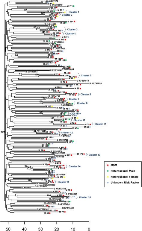 Phylogenetic Analysis Of Hiv 1 Subtype B Strains Correlated With