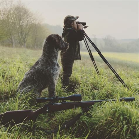 Gentleman Bobwhite Hunting Dogs Dogs Animals