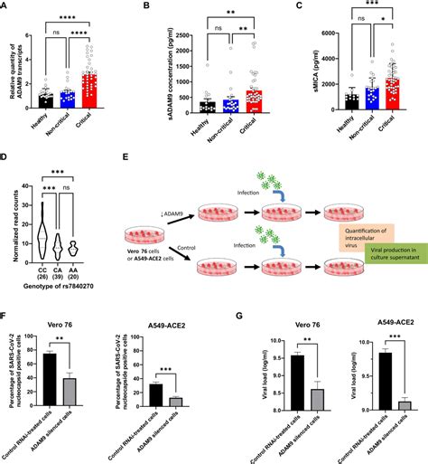 Sci Transl Med（if 17）：多组学人工智能揭秘年轻人新冠症状的驱动基因 知乎