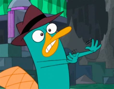 Perry Perry The Platypus Photo 26286735 Fanpop