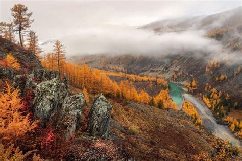 Argut Images - Free Download on Freepik