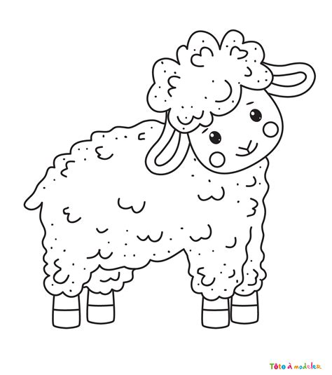 Coloriage Mouton Un Dessin Imprimer De T Te Modeler