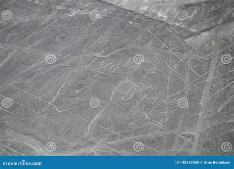 Aerial View of the Nazca Lines Stock Photo - Image of american ...