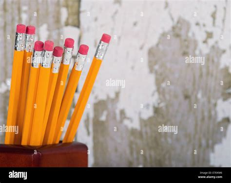 Group Of Eraser Ends Of Yellow Pencils In Pencil Holder Gray Wooden