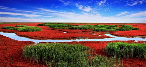 Red Beach, Panjin, Liaoning, China - Heroes Of Adventure