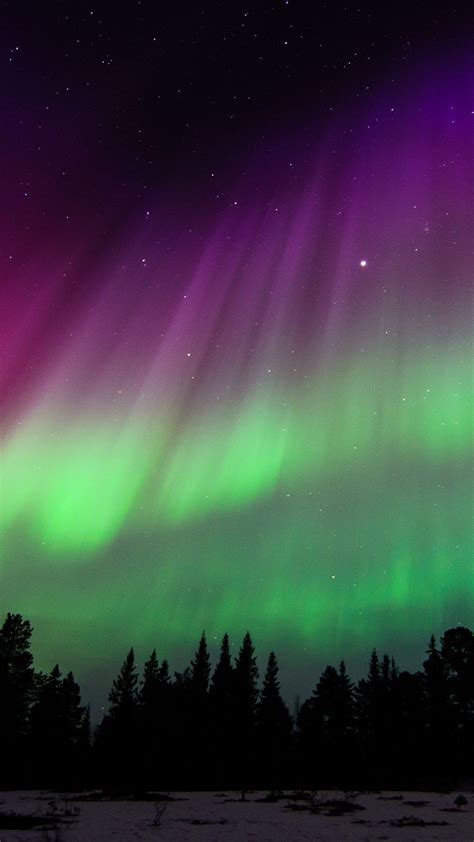 Purple Northern Lights Wallpapers on WallpaperDog