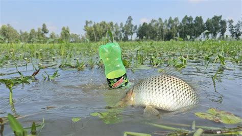 Amazing Fishing Technique Big Fish Hunting By Plastic Bottle Village