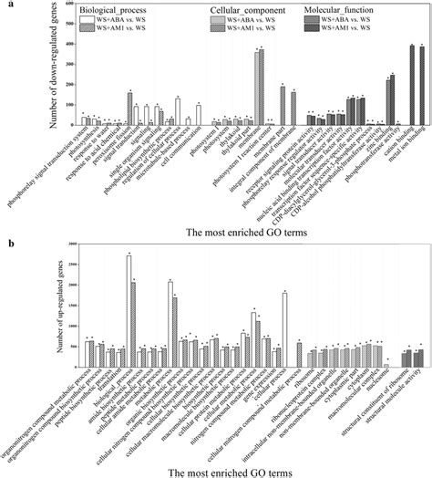 Gene Ontology Go Classifications Of Differentially Expressed Genes