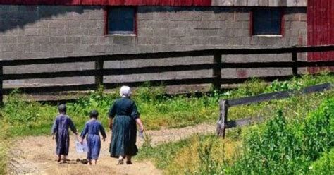 How are Amish communities organized? | Ohio's Amish Country