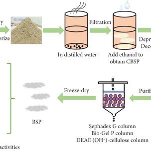 Schematic Representation Of The Extraction Purification And