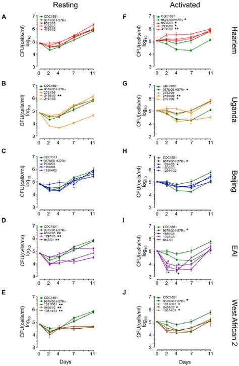 Long Term Survival And Growth Of MTC Clinical Isolates In Macrophages