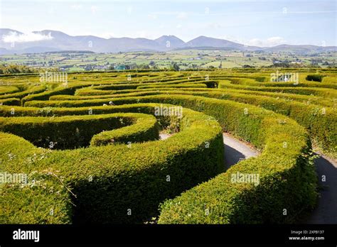 Peace Maze Castlewellan County Down Northern Ireland Uk Stock Photo Alamy