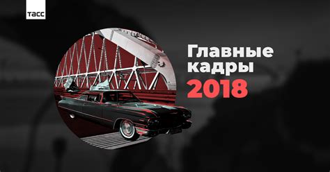 100 лучших фотографий агентства ТАСС