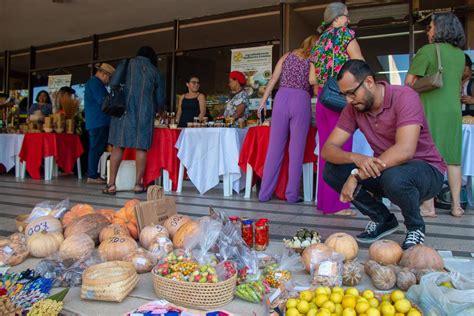 Mulheres agroextrativistas do Cantão Jalapão e Bico do Papagaio