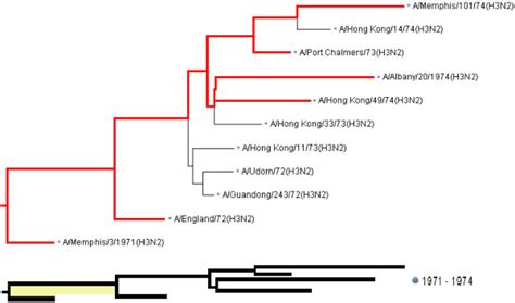 A Subtree Of The Phylogenetic Tree In Figure 1 Shown In Full Resolution