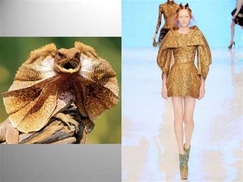 Biomimicry in fashion